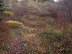2013-10-26_Schildenstein (223).JPG